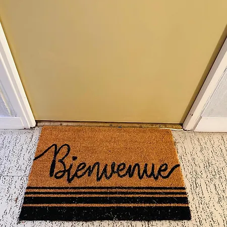 Orleans Nord Proche Gare De Fleury Les Aubrais - Appartement T2 - Le Charme Des 3 Croissants By Primo C0Nciergerie Exterior foto