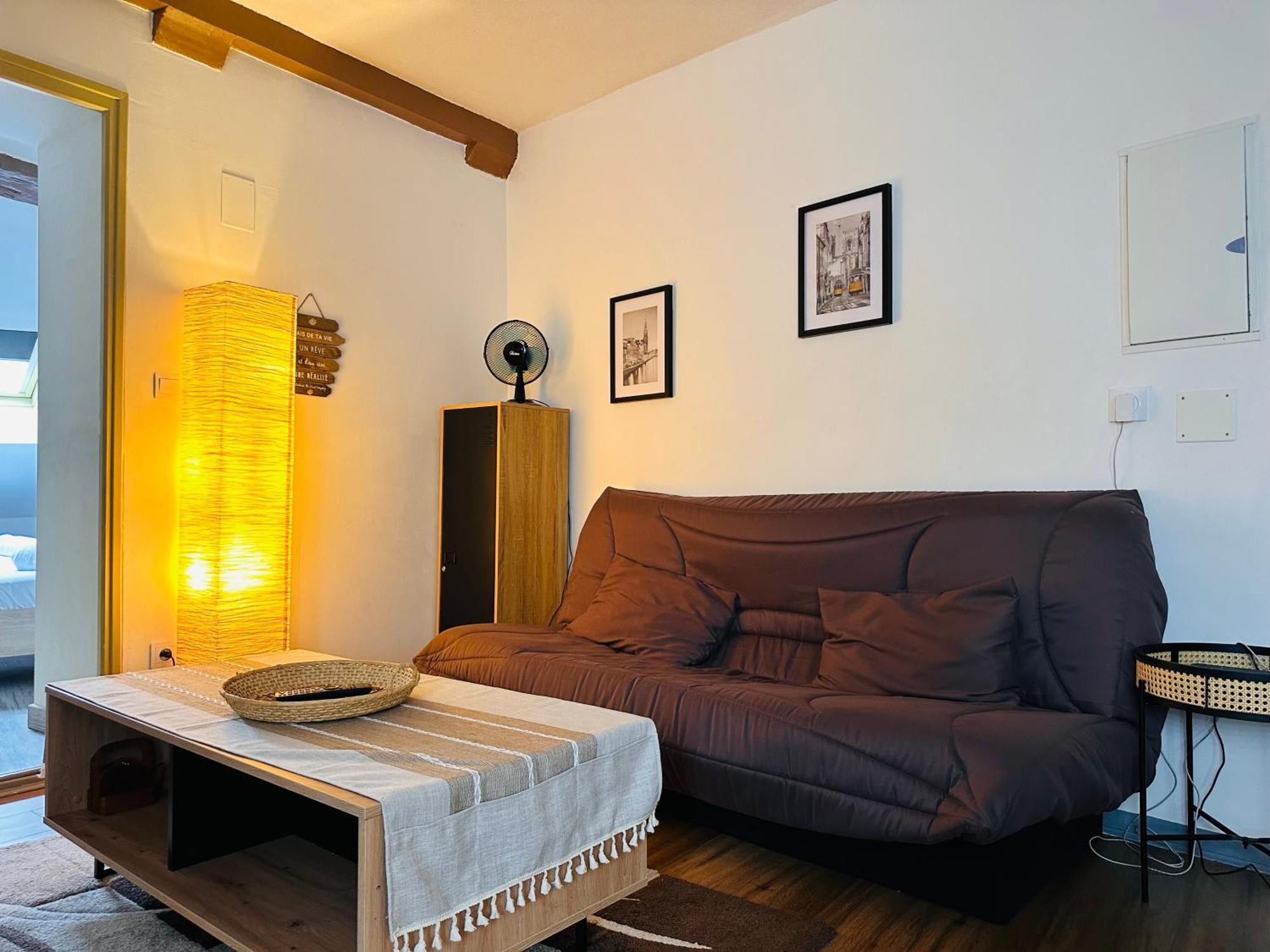 Apartment Nord Proche Gare De Fleury Les Aubrais - T2 - Le Charme Des 3 Croissants By Primo C0nciergerie *